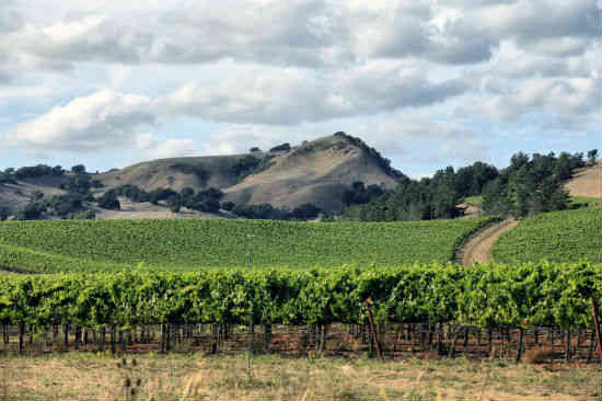 sonoma county california 2